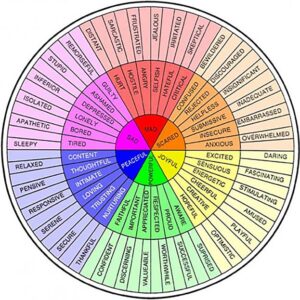 A circular chart with many different colors of words.